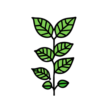 1 (1458).png